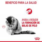 Royal Canin Intense Hairball pienso para gatos, , large image number null